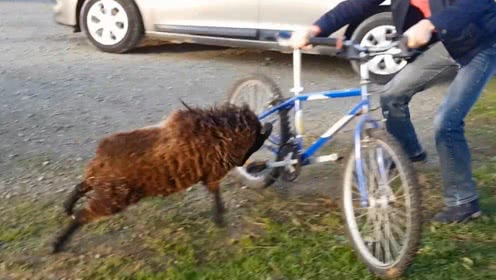 milan米兰app官网